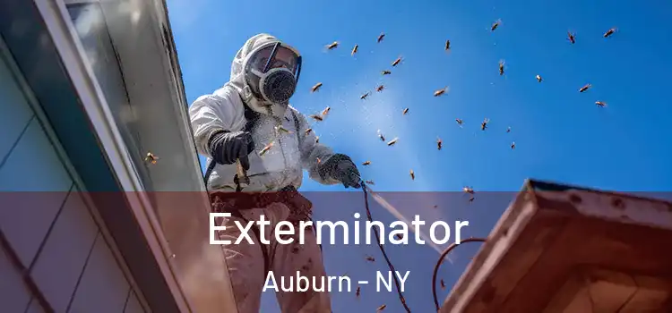 Exterminator Auburn - NY