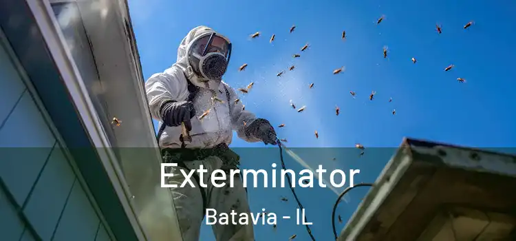Exterminator Batavia - IL