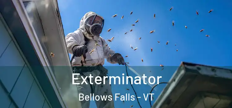  Exterminator Bellows Falls - VT