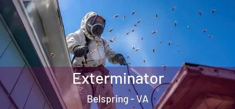 Exterminator Belspring - VA