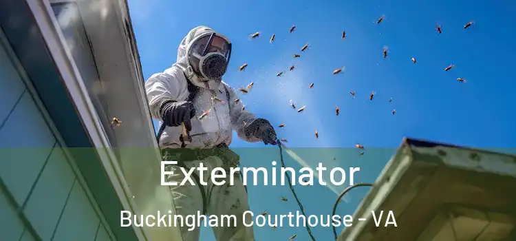 Exterminator Buckingham Courthouse - VA
