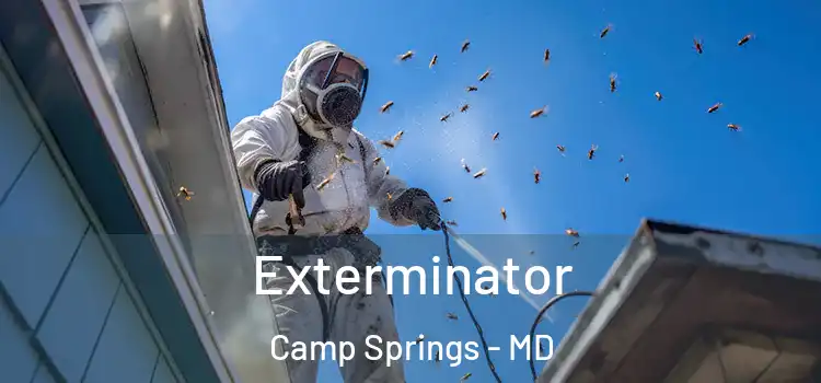 Exterminator Camp Springs - MD