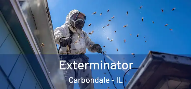  Exterminator Carbondale - IL