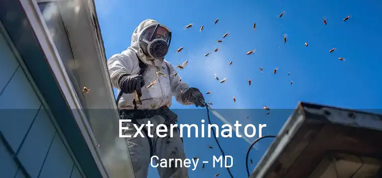  Exterminator Carney - MD
