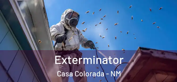  Exterminator Casa Colorada - NM