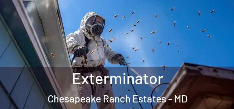 Exterminator Chesapeake Ranch Estates - MD