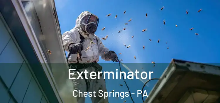  Exterminator Chest Springs - PA