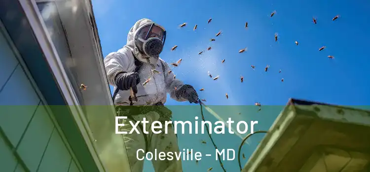 Exterminator Colesville - MD