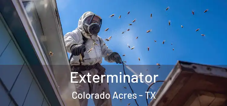  Exterminator Colorado Acres - TX