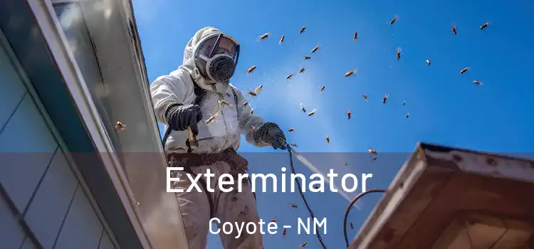  Exterminator Coyote - NM