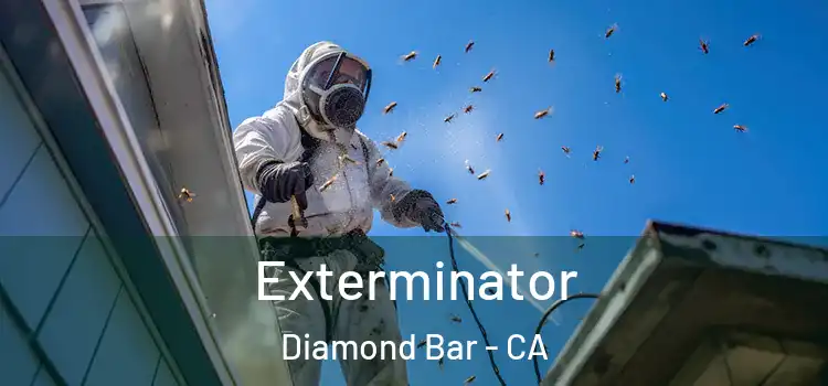  Exterminator Diamond Bar - CA
