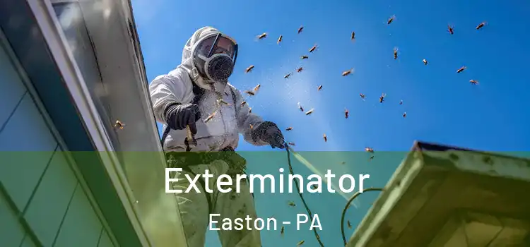  Exterminator Easton - PA