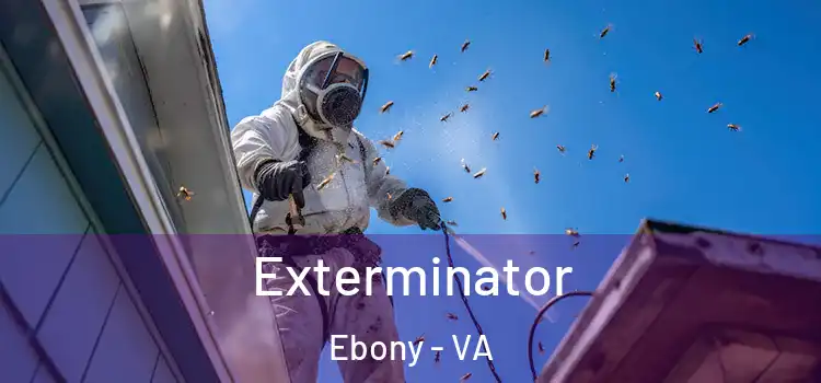Exterminator Ebony - VA