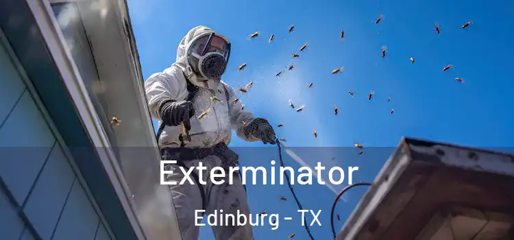 Exterminator Edinburg - TX
