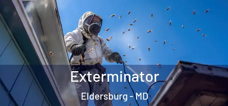 Exterminator Eldersburg - MD