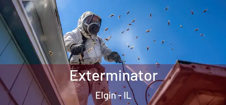  Exterminator Elgin - IL