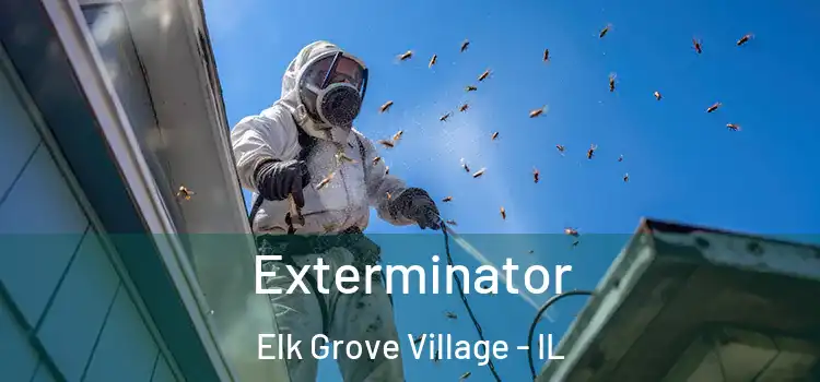  Exterminator Elk Grove Village - IL