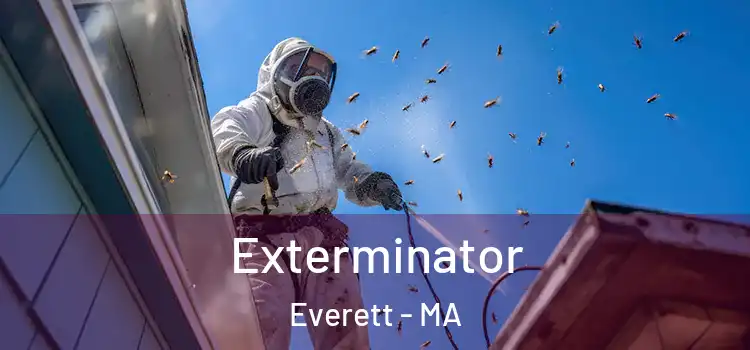Exterminator Everett - MA