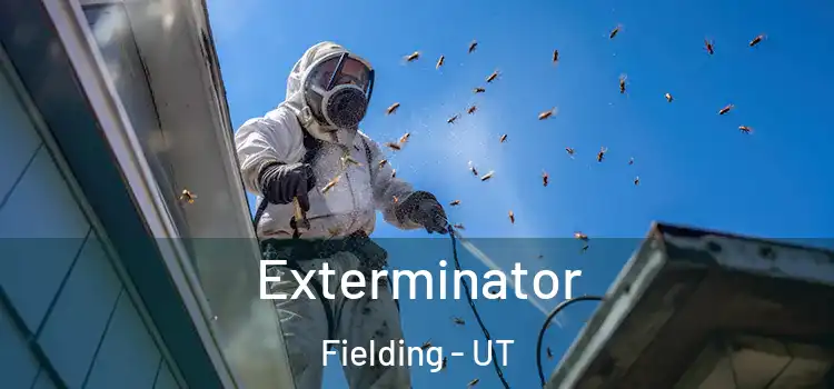  Exterminator Fielding - UT