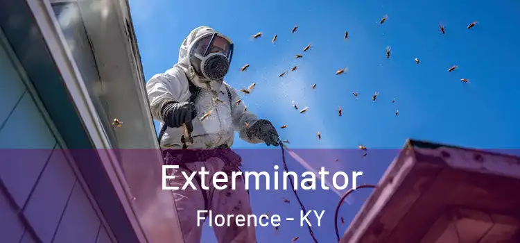 Exterminator Florence - KY