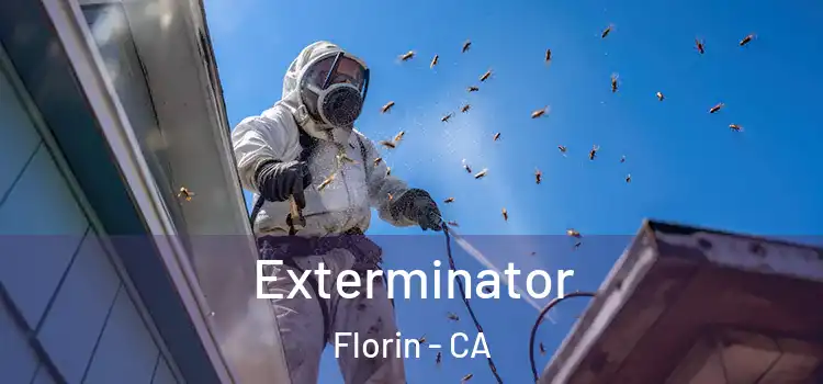  Exterminator Florin - CA
