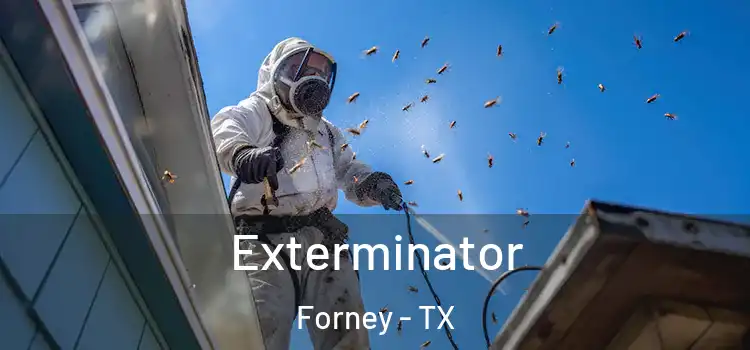  Exterminator Forney - TX