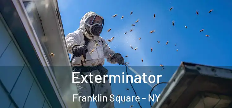 Exterminator Franklin Square - NY