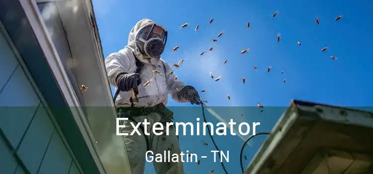 Exterminator Gallatin - TN