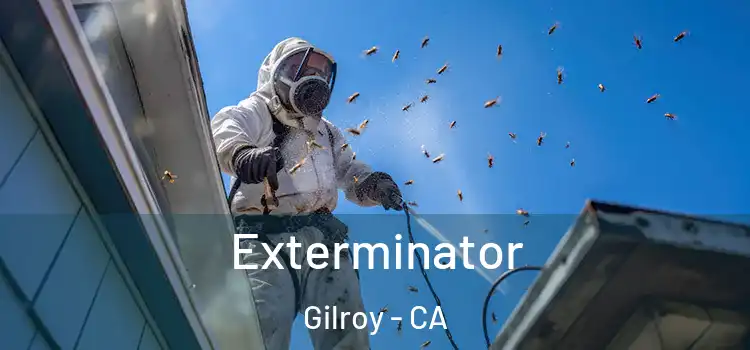 Exterminator Gilroy - CA