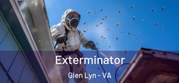 Exterminator Glen Lyn - VA