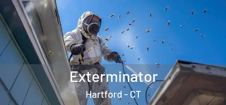  Exterminator Hartford - CT