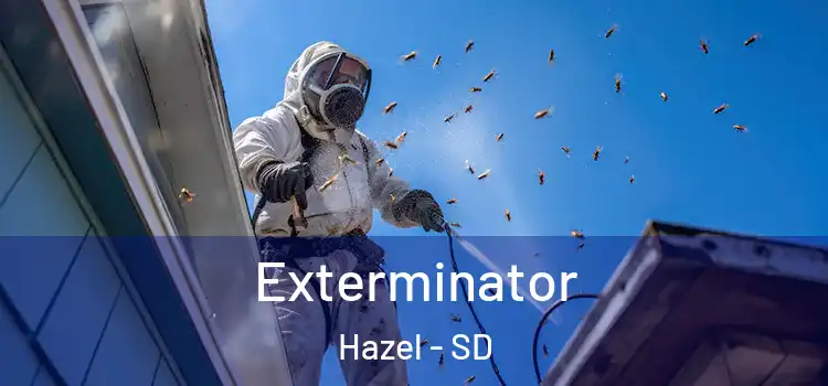 Exterminator Hazel - SD
