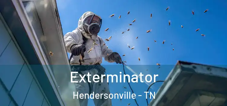 Exterminator Hendersonville - TN
