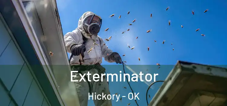  Exterminator Hickory - OK
