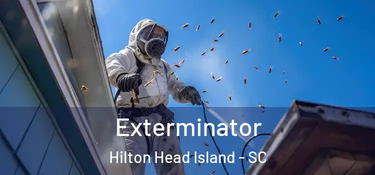 Exterminator Hilton Head Island - SC