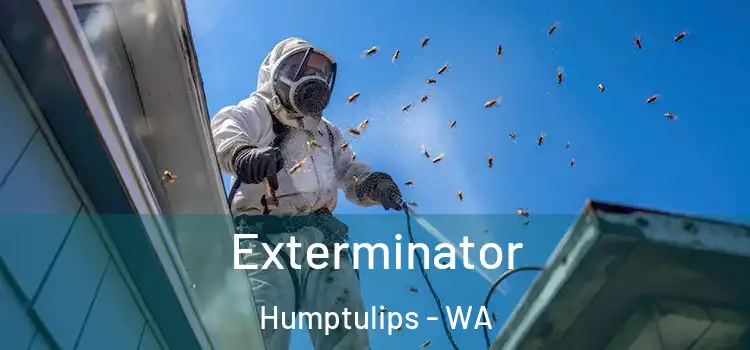  Exterminator Humptulips - WA