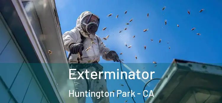 Exterminator Huntington Park - CA
