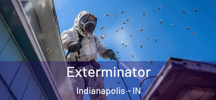  Exterminator Indianapolis - IN