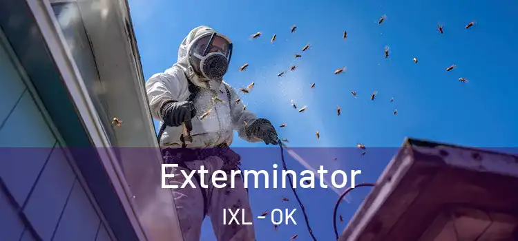  Exterminator IXL - OK