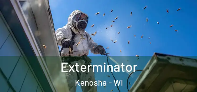 Exterminator Kenosha - WI