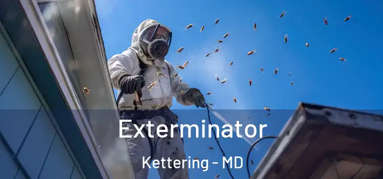 Exterminator Kettering - MD