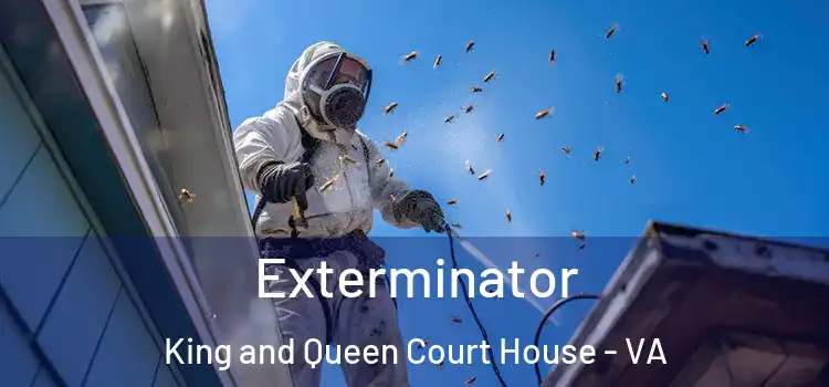 Exterminator King and Queen Court House - VA