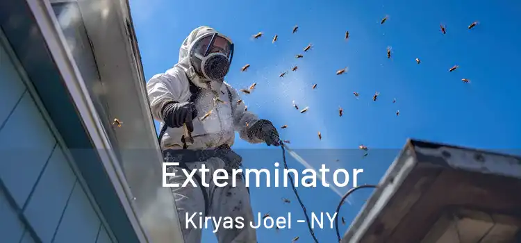  Exterminator Kiryas Joel - NY
