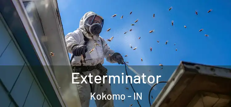 Exterminator Kokomo - IN