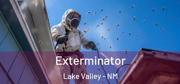 Exterminator Lake Valley - NM