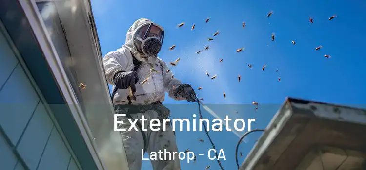 Exterminator Lathrop - CA