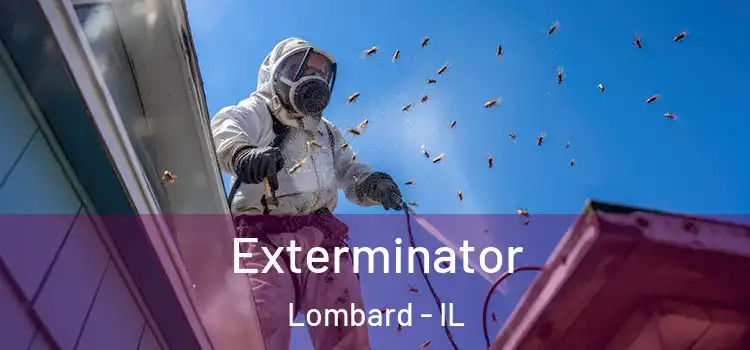 Exterminator Lombard - IL