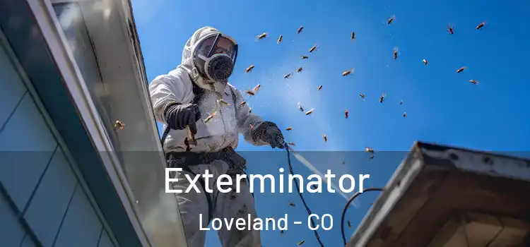 Exterminator Loveland - CO
