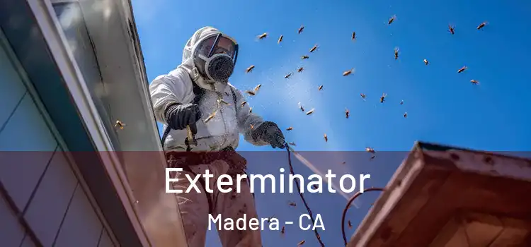 Exterminator Madera - CA
