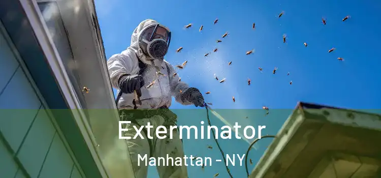 Exterminator Manhattan - NY